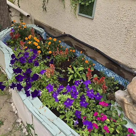 Casa vacanze Cosy Avec Piscine Au Calme Entre Et Montagne *